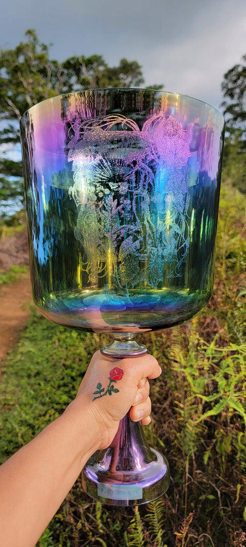 Bowl of Light